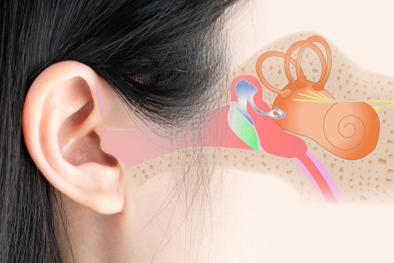 Eustachian Tube Balloon Dilation System in Glendale & Burbank, CA - Southern California ENT and Allergy Associates