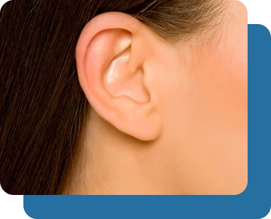 Ears, Hearing and Balance in Glendale & Burbank, CA - Southern California ENT and Allergy Associates